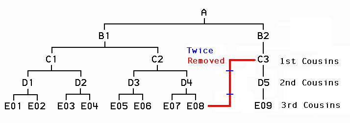 Family Tree