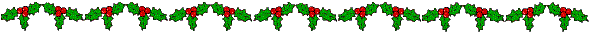 Holly border