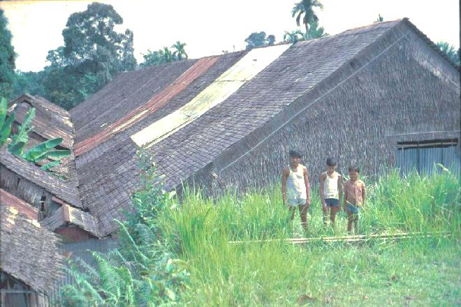 Back of a Longhouse