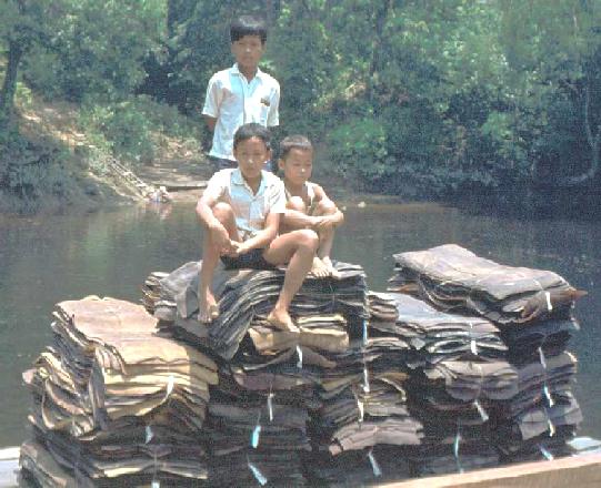 Bales of Rubber